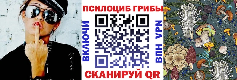 Галлюциногенные грибы ЛСД  где найти   Отрадное 